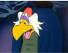 Count Duckula - Disappointed Egor