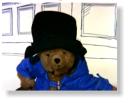 Paddington Bear - Paddington