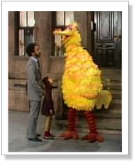 Sesame Street - Big Bird Is Really Tall