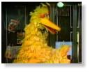 Sesame Street - Big Bird