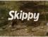 Skippy the Bush Kangaroo - Into