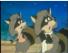 The Raccoons - Ralph and Melissa Raccoon